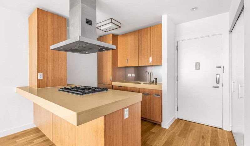 WEST 17TH STREET NEW YORK full
